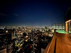 The Ritz-Carlton  (D9), Condominium #543951151